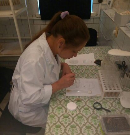 Summer Research 2