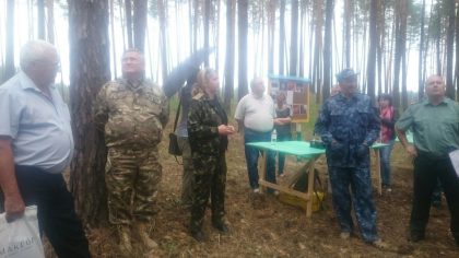 Pine forest health assessment