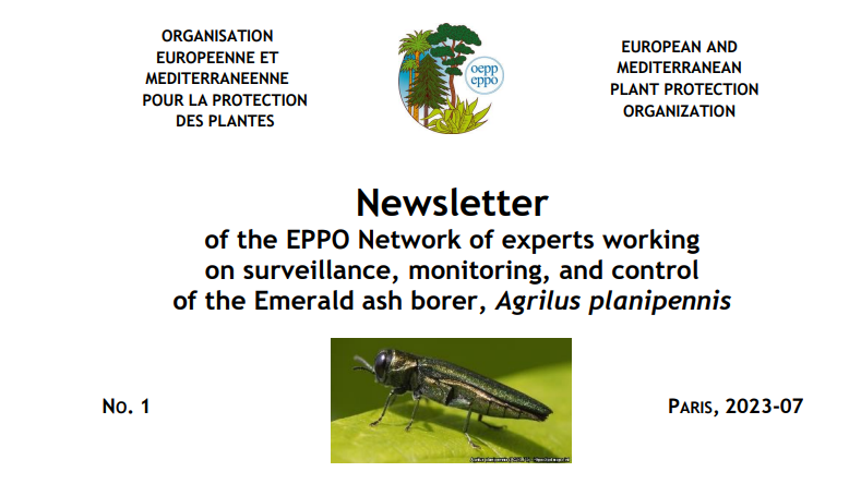 EPPO Newsletter 1
