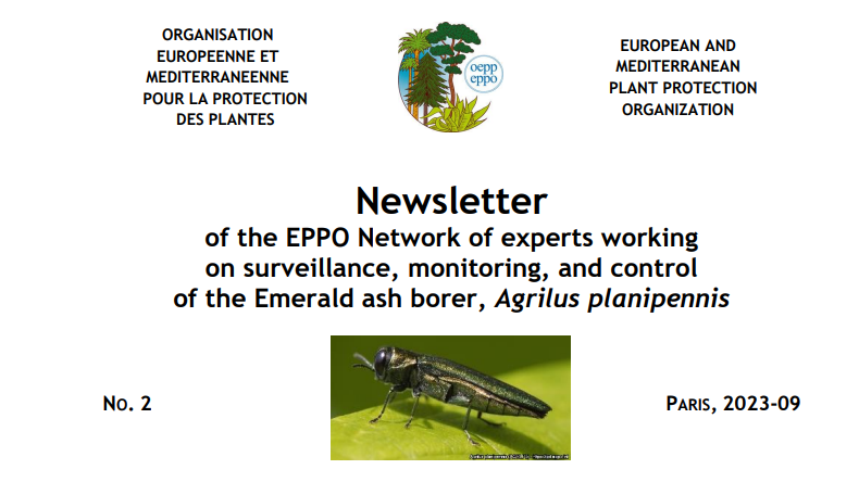 EPPO Newsletter 2