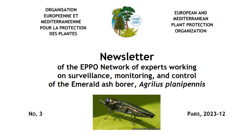 EPPO Newsletter 3