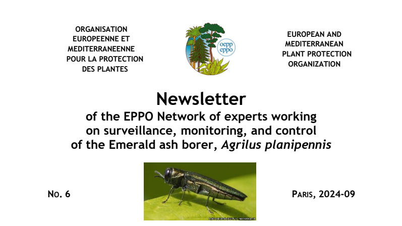 EPPO Network Newsletter