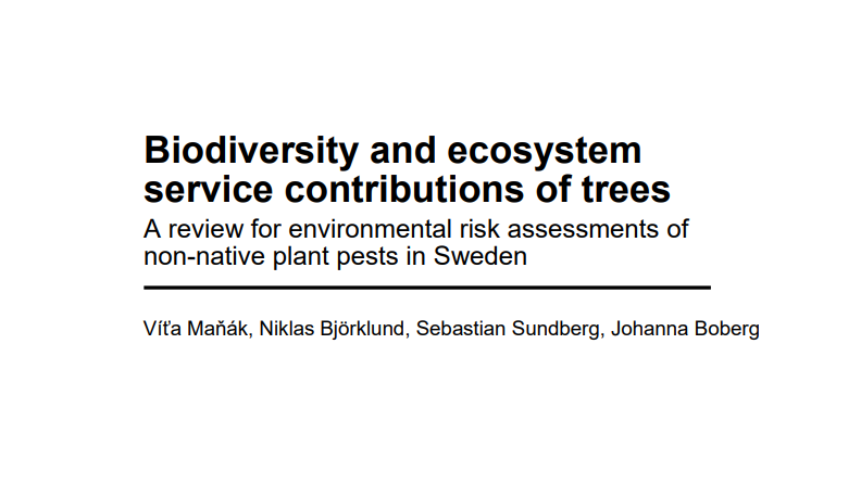 Biodiversity and ecosystem service
