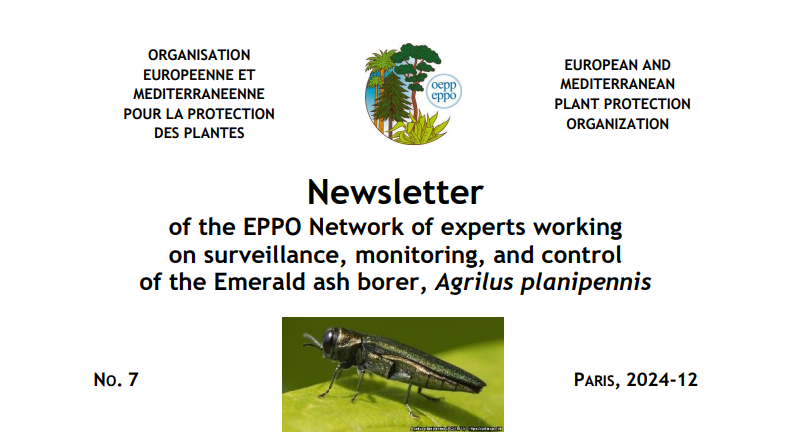 EPPO Network Newsletter