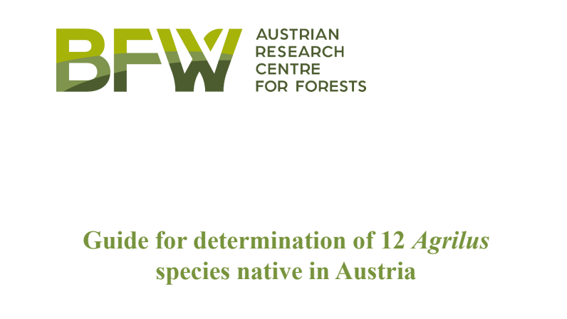 Guide for determination of 12 Agrilus species