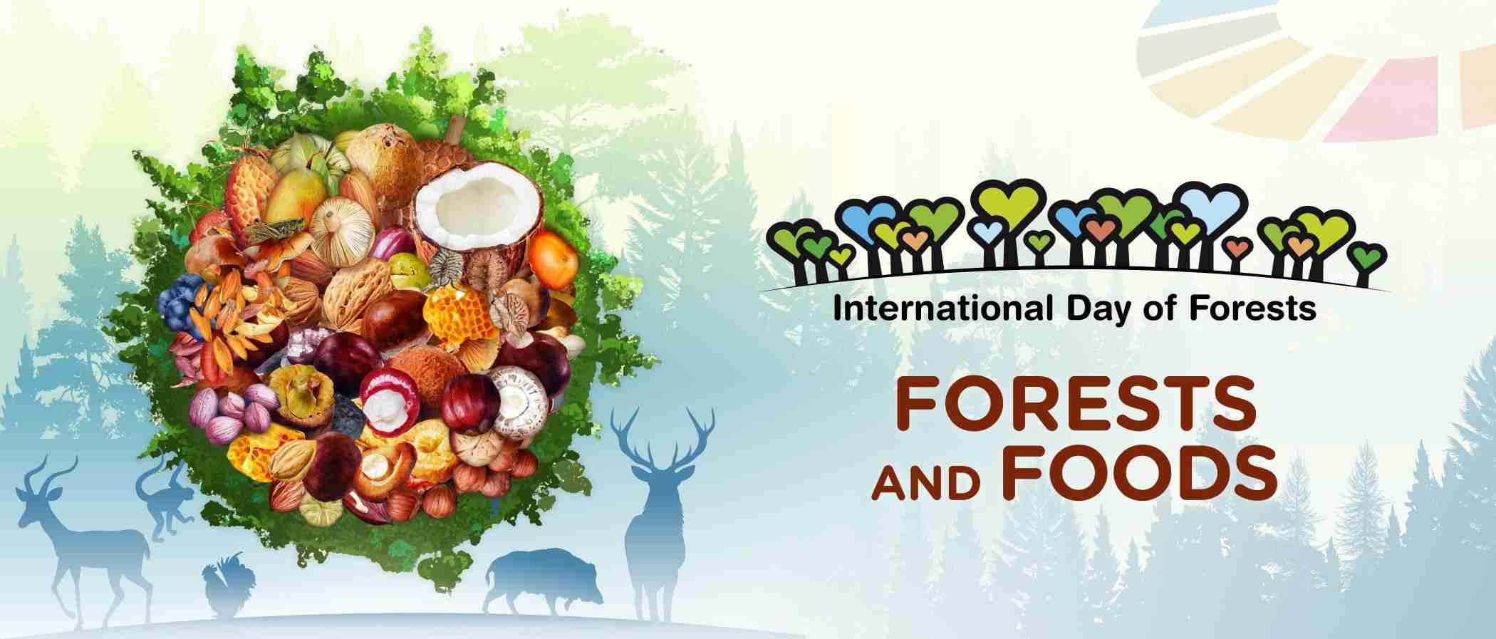 Forest Day Celebration