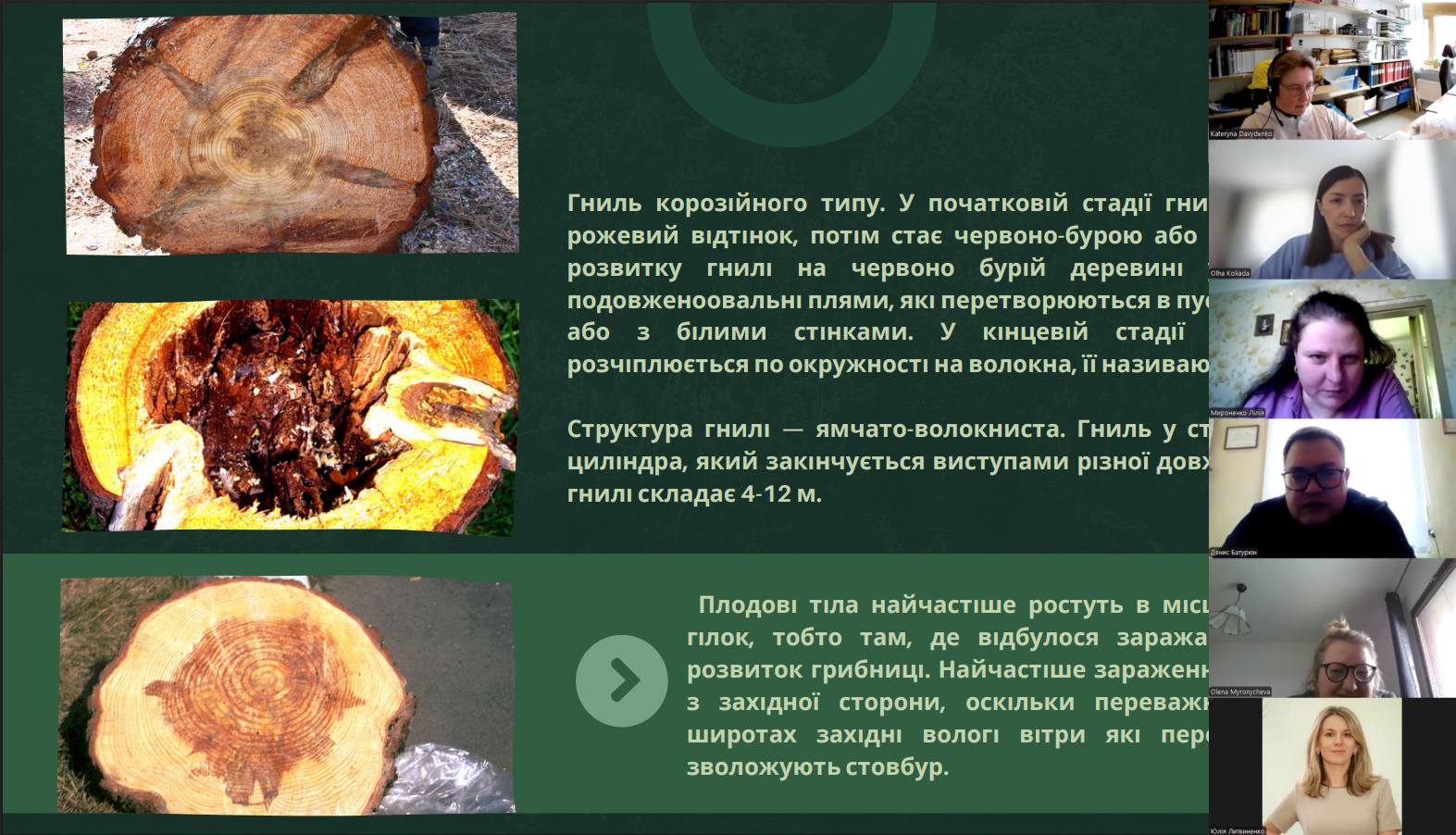 Specialists of SSE 