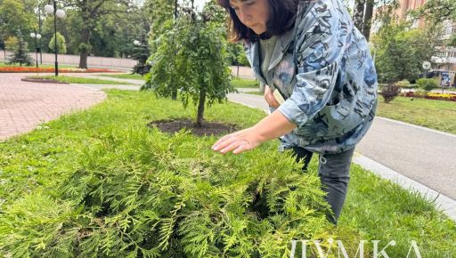 Tree research in Kharkiv